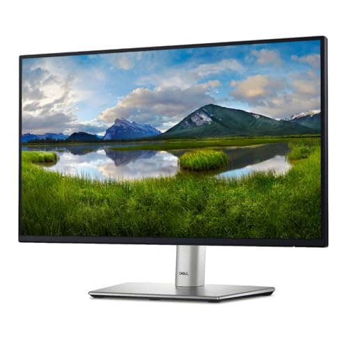 Dell 24 Monitor - P2422H - Full HD 1080p, IPS Technology,...