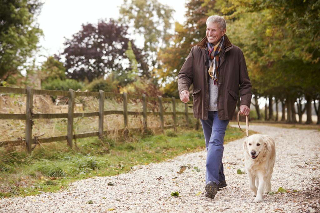 Active Senior Man On Autumn Walk With Dog On Path Through Countryside