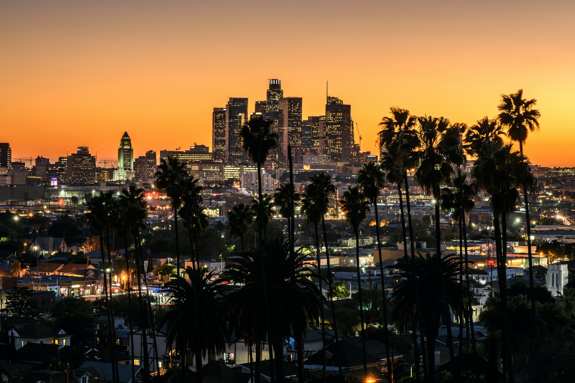 Beautiful sunset through the palm trees, Los Angeles, California.